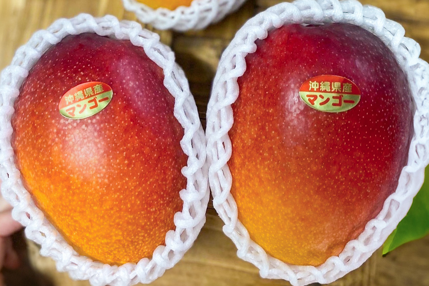 【2026年発送】【令和5年度優秀賞受賞】でーじマンゴーアップルマンゴー1kg (優品) 26-4